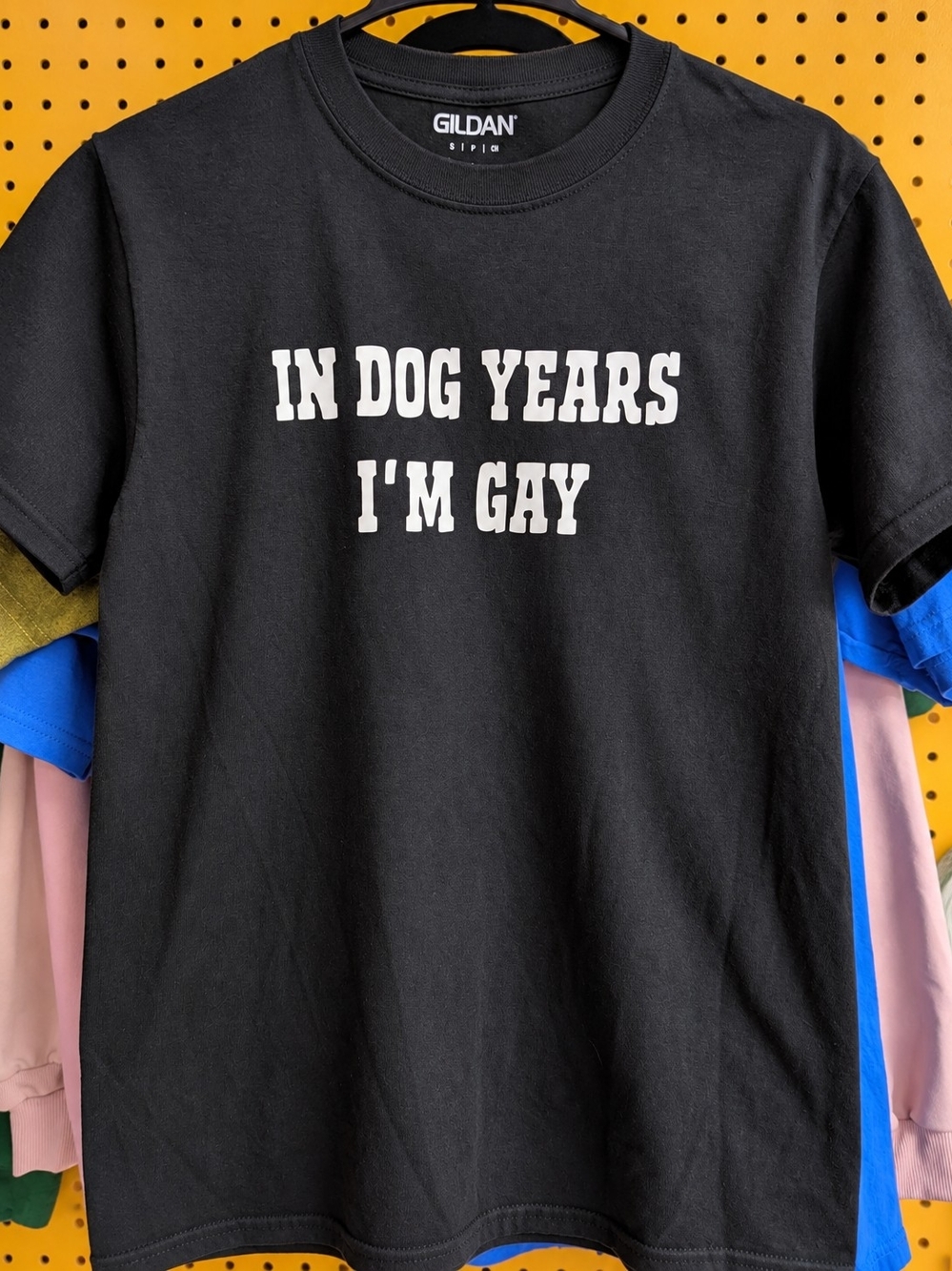 'In Dog Years I'm Gay'